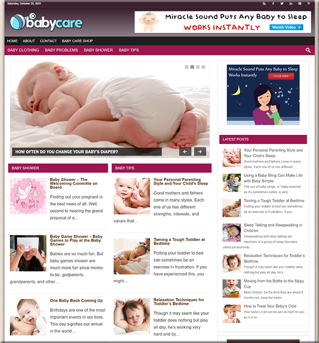 baby care niche plr blog