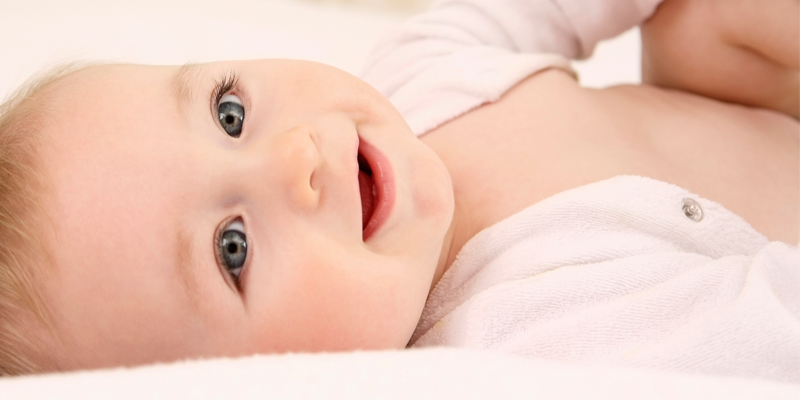 baby flya niche blog