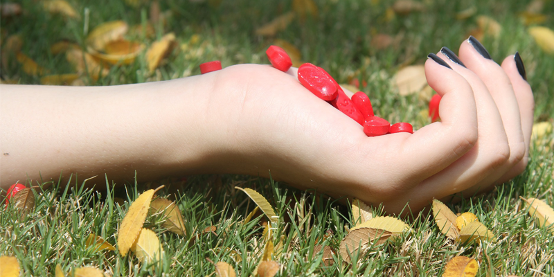 mental bnpj niche blog