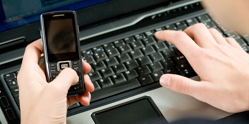 reverse phone ovri niche blog