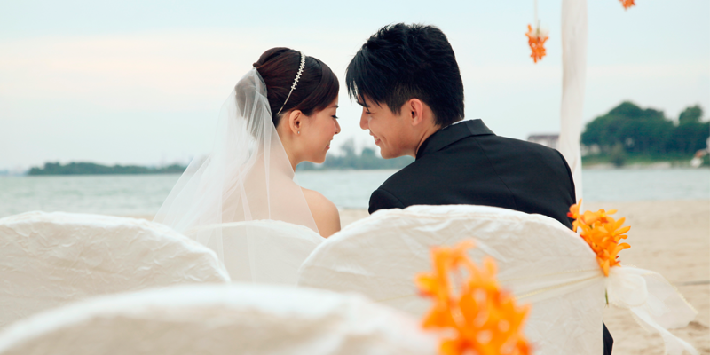 wedding plans xmqs niche blog