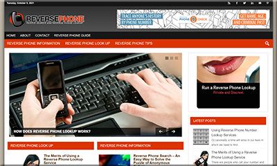 Reverse Phone Niche PLR Website