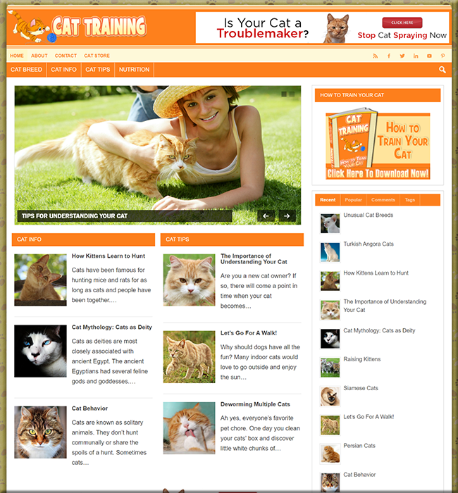 Cat Training Guide PLR Site cat training guide plr site