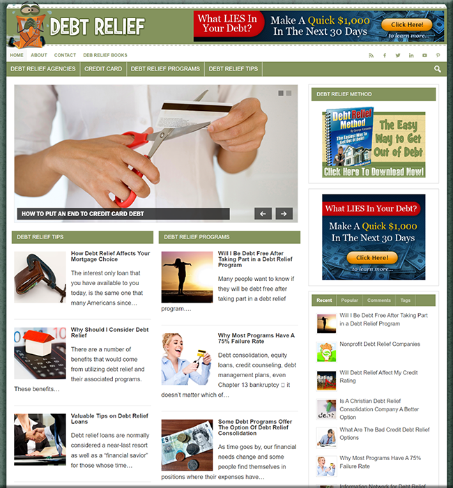 Debt Relief Niche PLR Website debt relief niche plr website