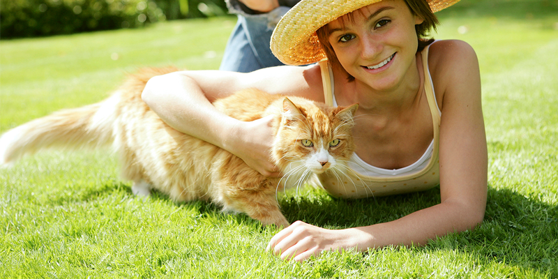 Cat Uqja Template cat uqja template