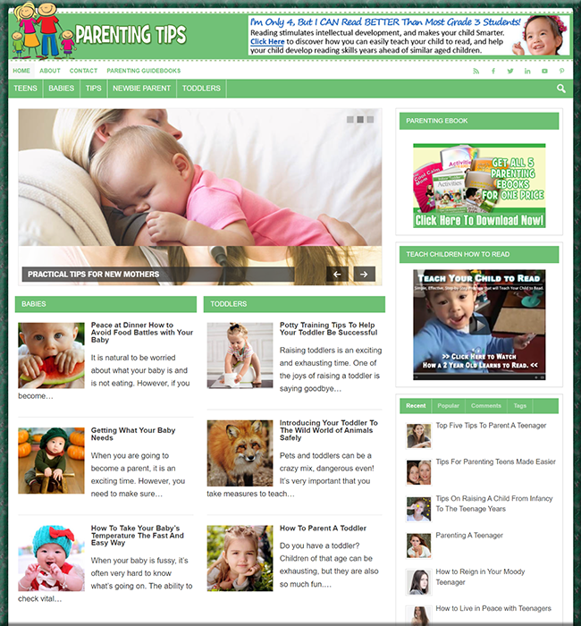 parenting plr niche blog