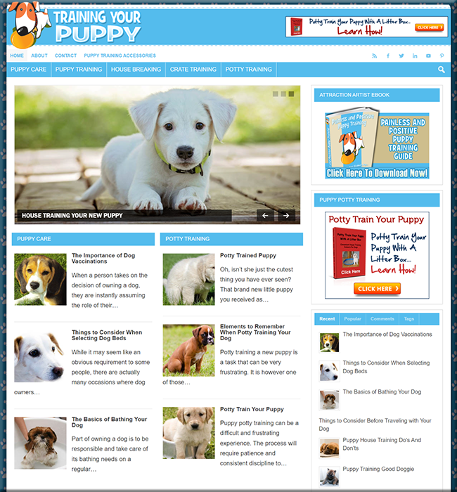 Puppy Training PLR Niche Website puppy training plr niche website