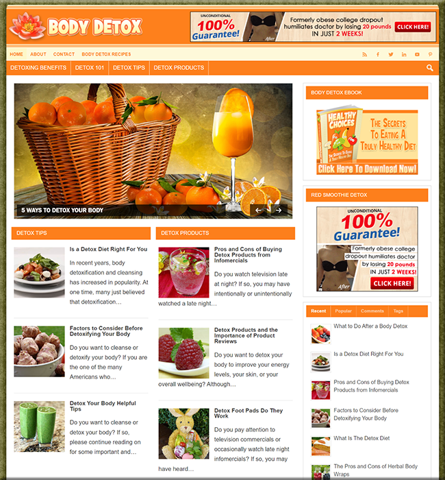 Body Detox PLR Niche Blog body detox plr niche blog