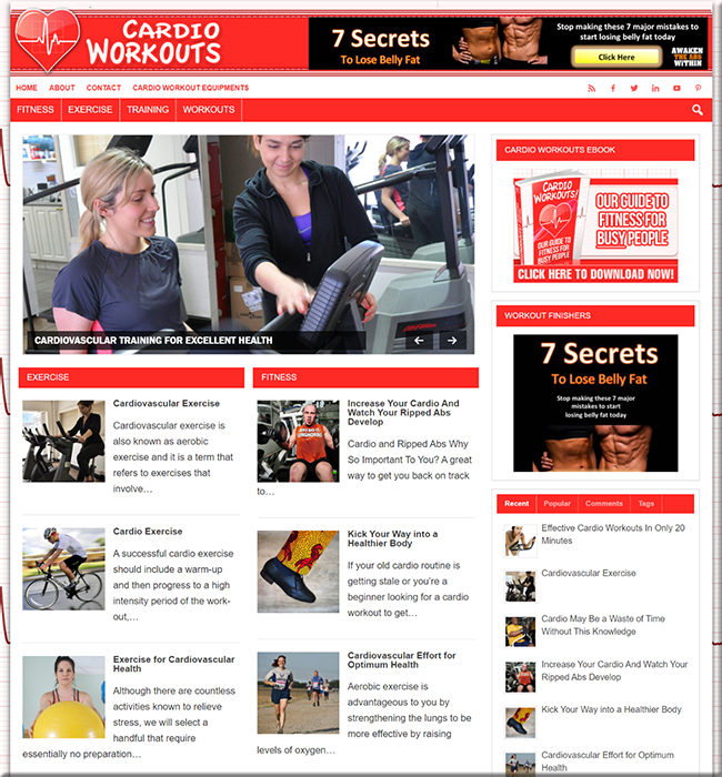 Cardio Workouts PLR Niche Blog cardio workouts plr niche blog