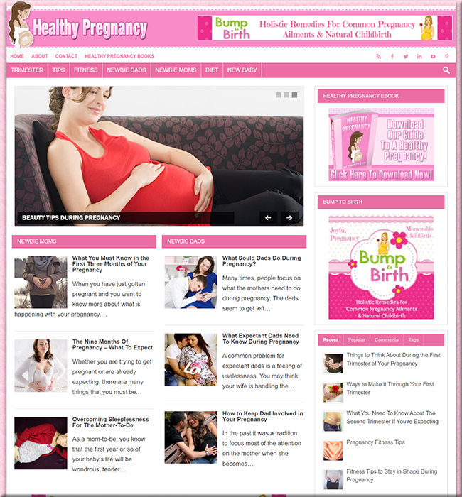 healthy pregnancy niche blog