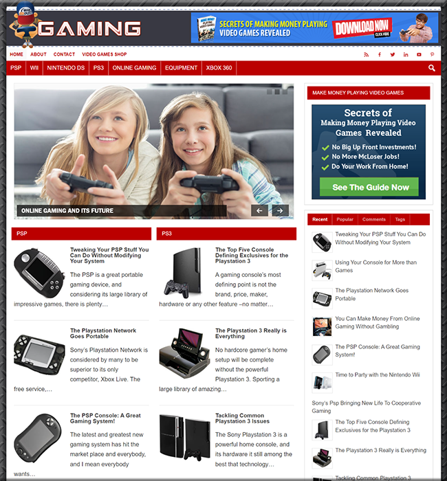 gaming plr niche website