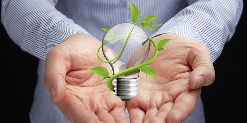 Eco Friendly Tjqo Template eco friendly tjqo template