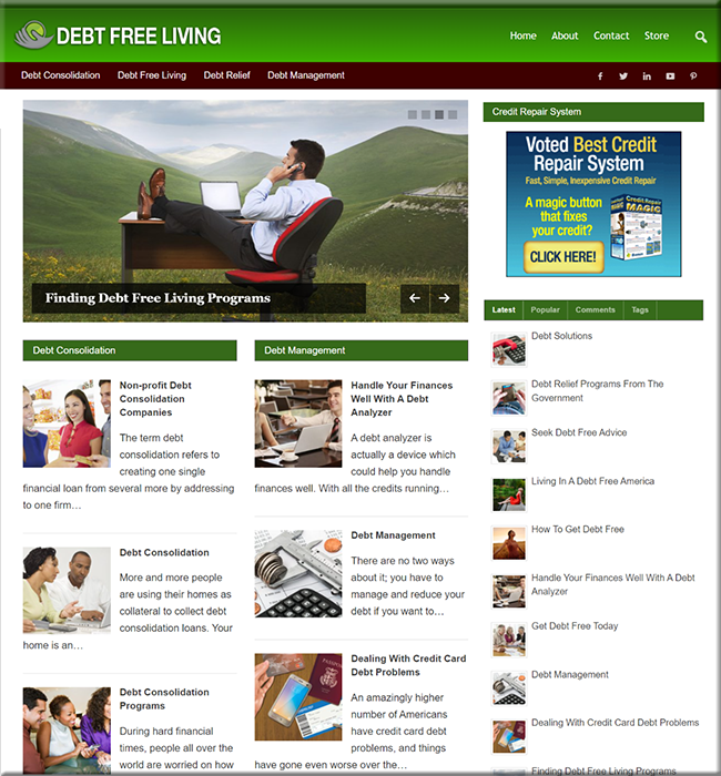 debt free living plr niche blog