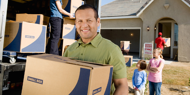 home improve ujzk template