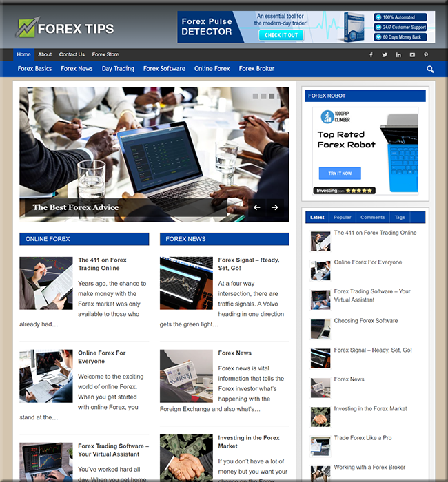 Forex Trading PLR Niche Blog forex trading plr niche blog