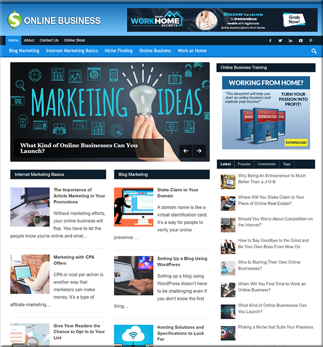 Online Business PLR Niche Blog online business plr niche blog