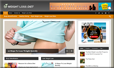 Weight Loss Diet PLR Niche Website