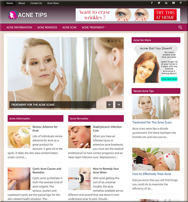 acne cure plr niche website