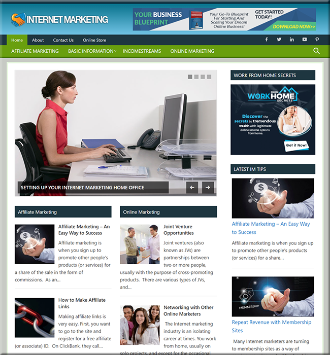 internet marketing niche blog