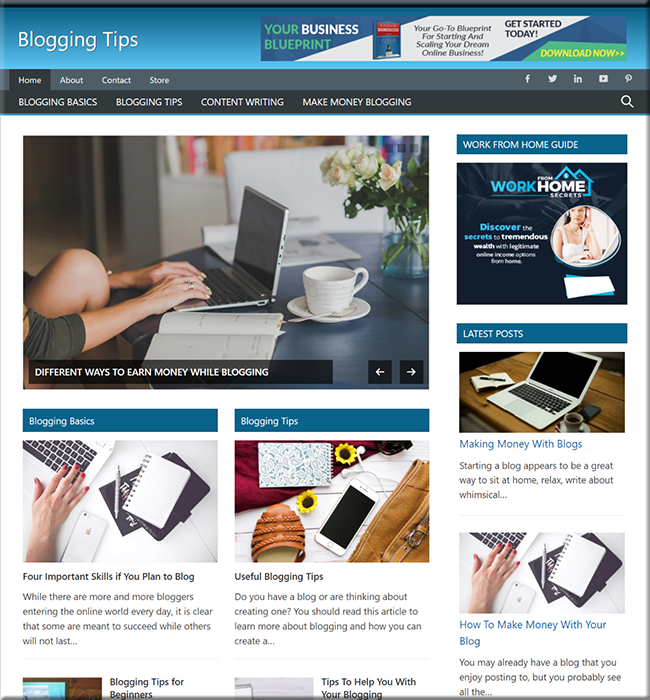 Blogging Guide Niche PLR Website blogging guide niche plr website