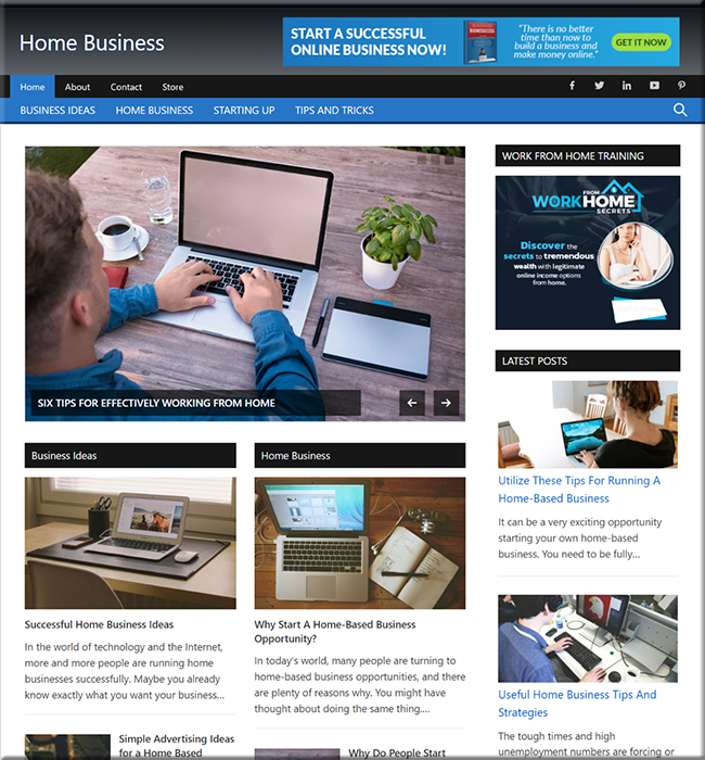 home business niche website