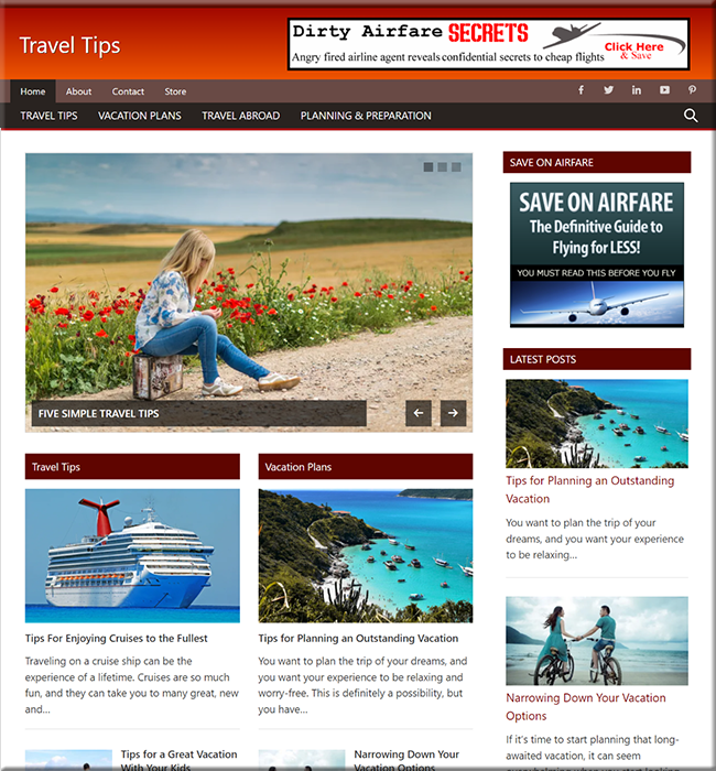 travel info niche website