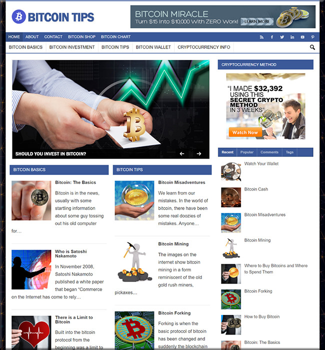 bitcoin niche plr blog