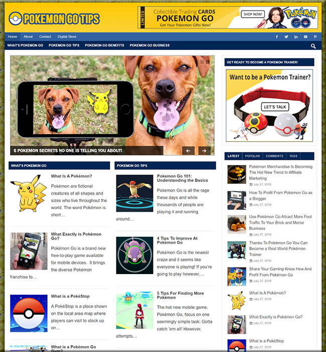 Pokemon Go Niche PLR Blog pokemon go niche plr blog