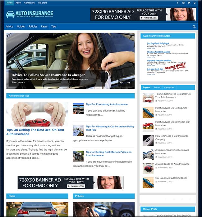 auto insurance plr niche website
