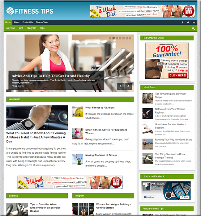 fitness plr niche website