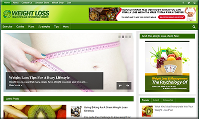 Weight Loss Guide PLR Blog