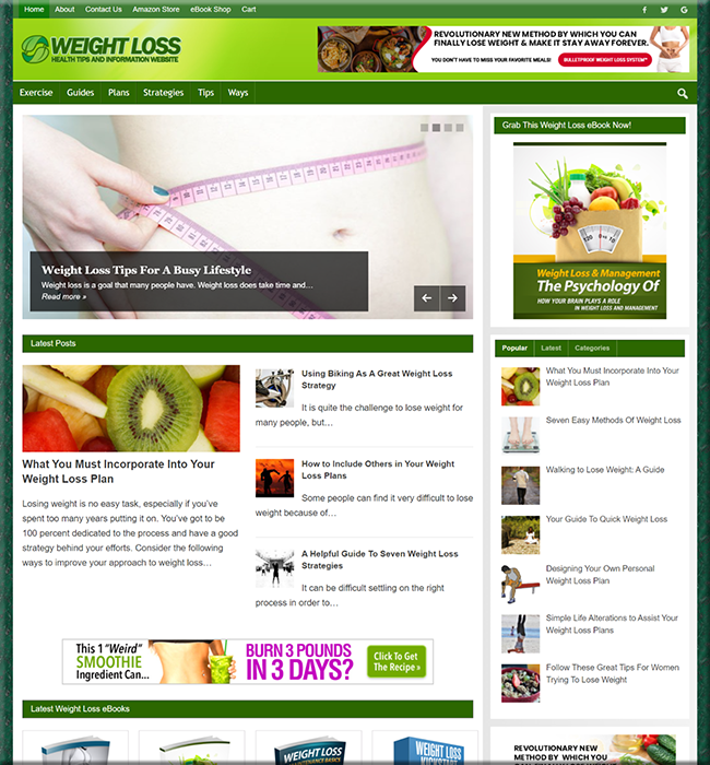 weight loss guide plr blog