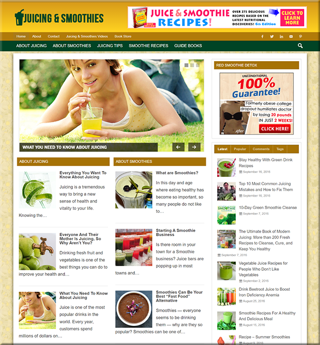 juicing smoothie niche blog