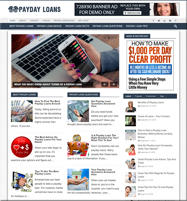 pay day loans niche plr website