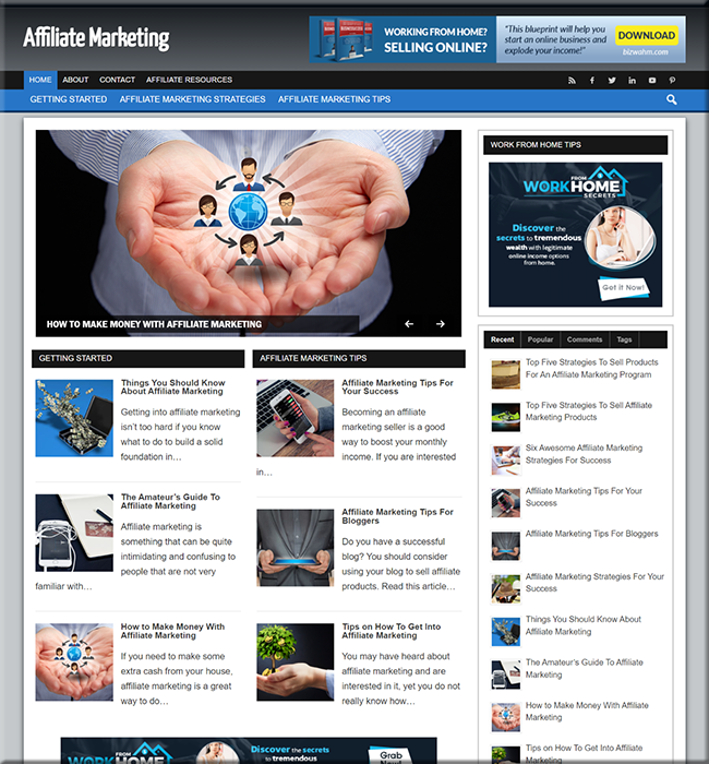 Affiliate Marketing Info PLR Website affiliate marketing info plr website