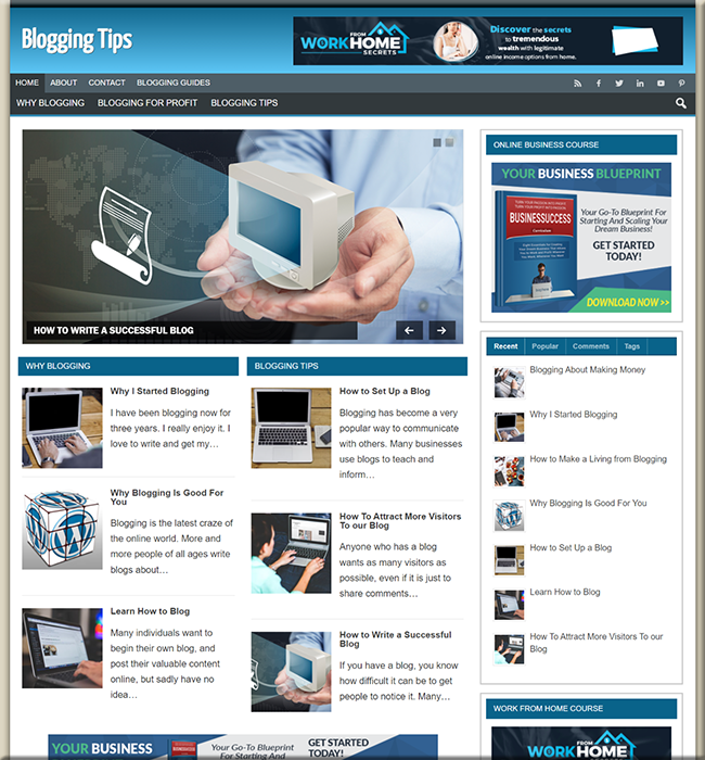 blogging niche plr blog