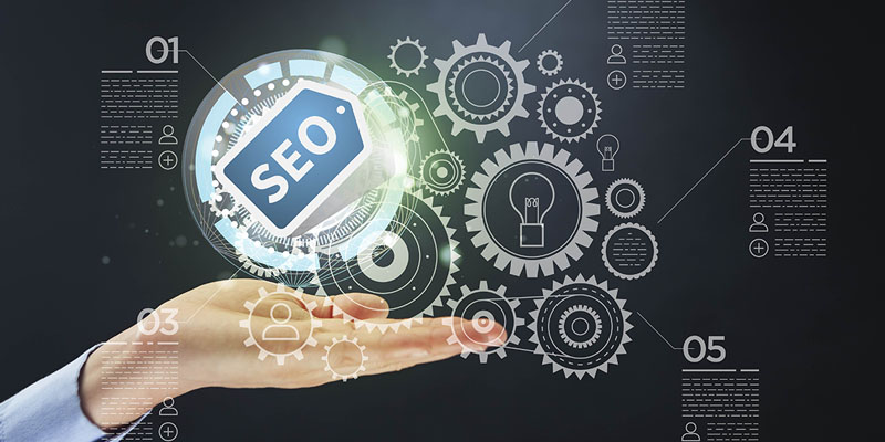 seo webwczr niche blog