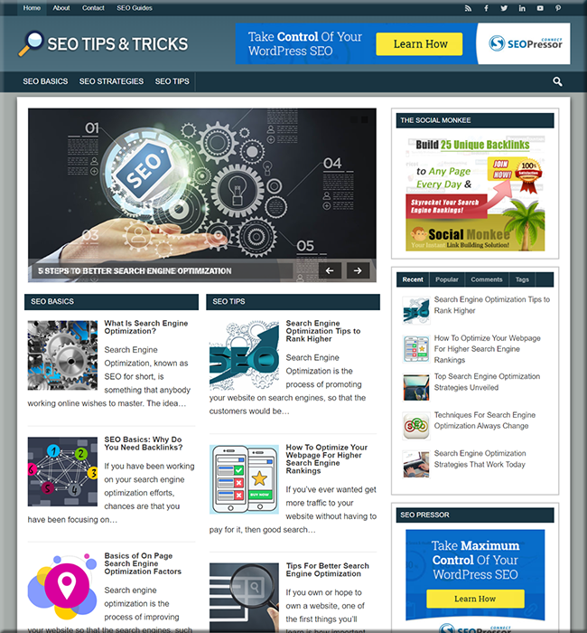 search engine optimization plr blog