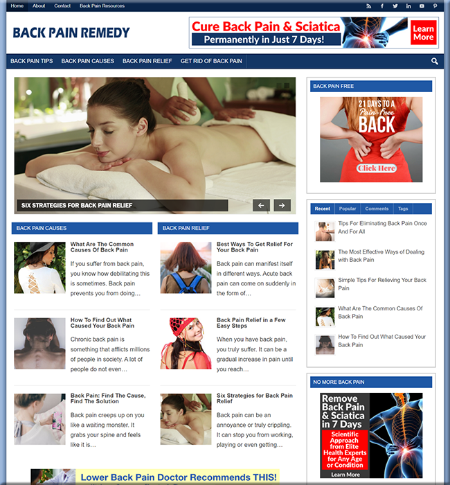 back pain remedy plr niche blog
