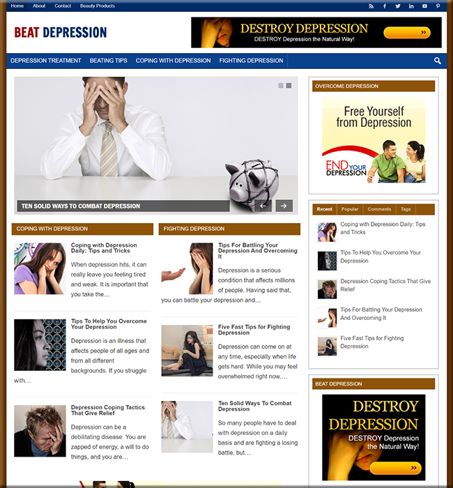 beat depression niche plr website