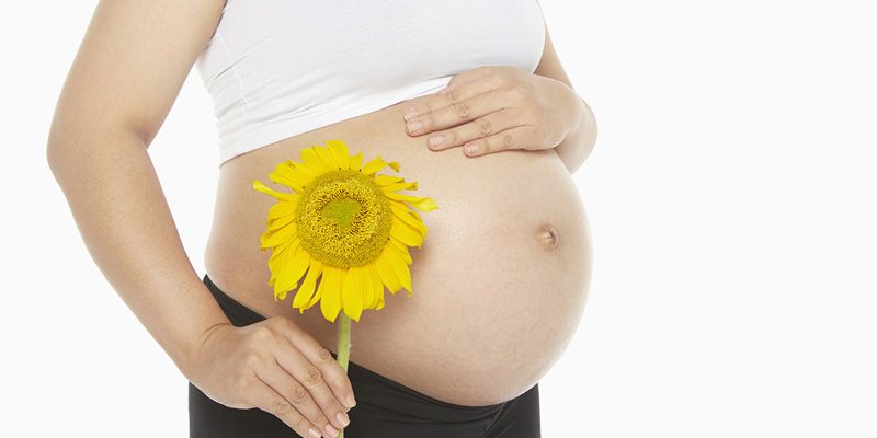 pregnancy xskf niche blog