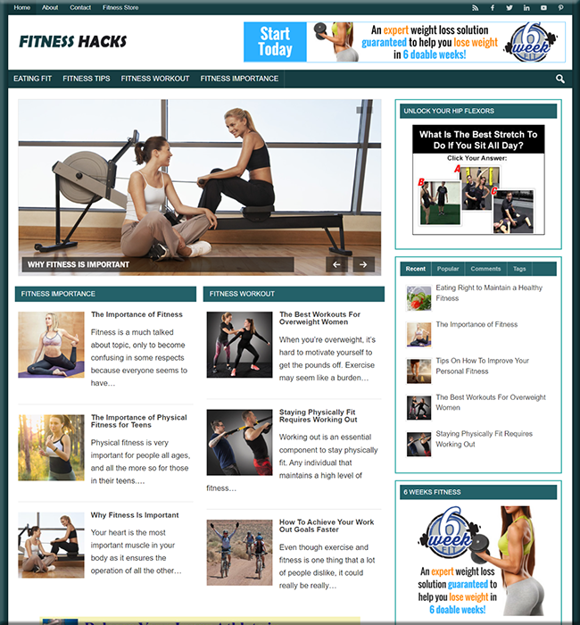 fitness hacks plr niche website