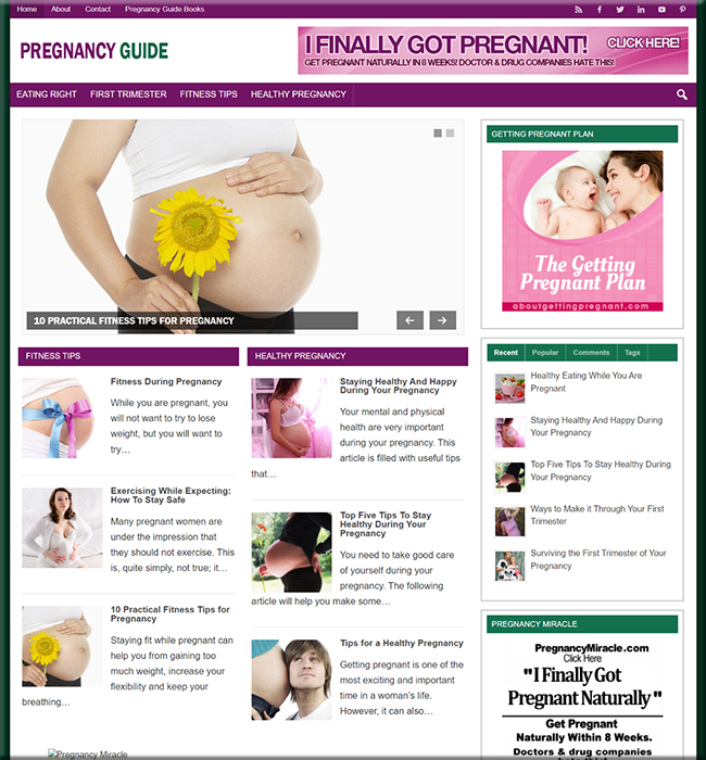 pregnancy guide niche plr website
