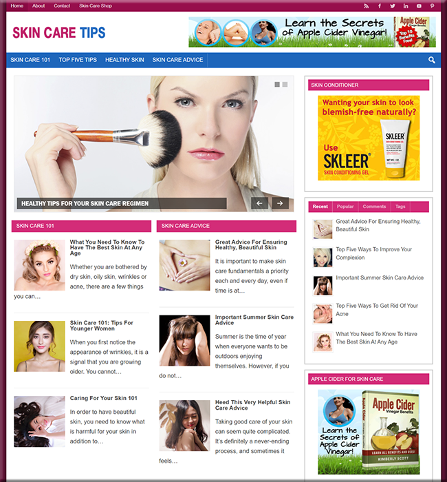 skin care plr niche blog