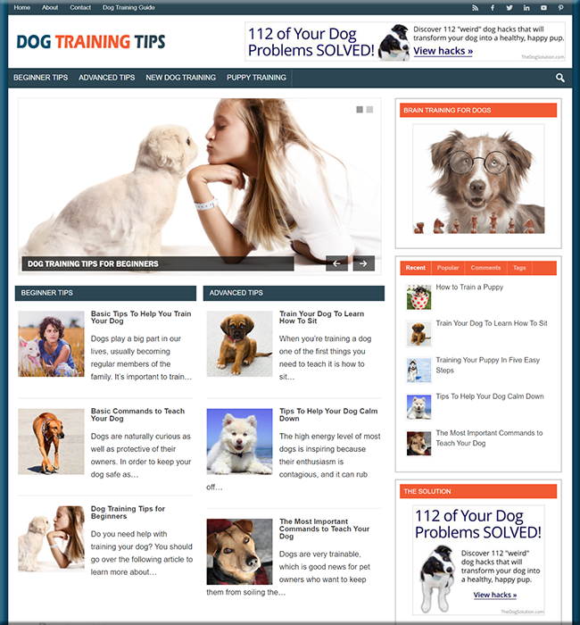 dog training niche website