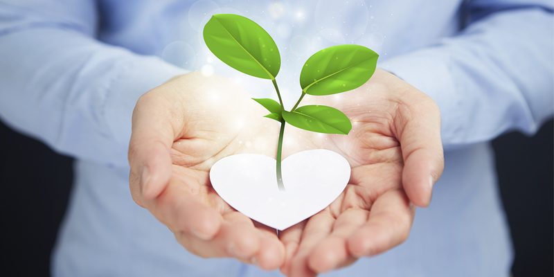 green energy urtk template