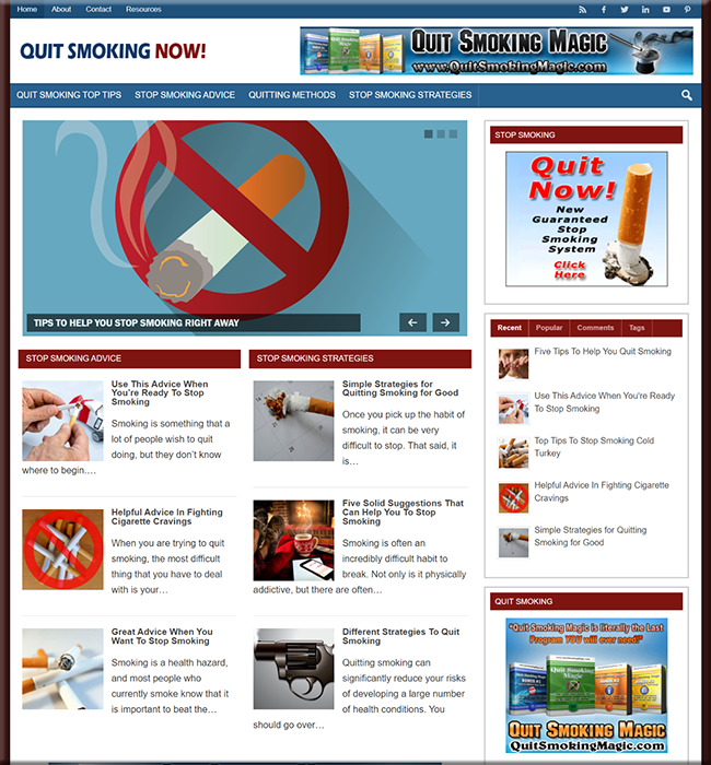 stop smoking plr niche website