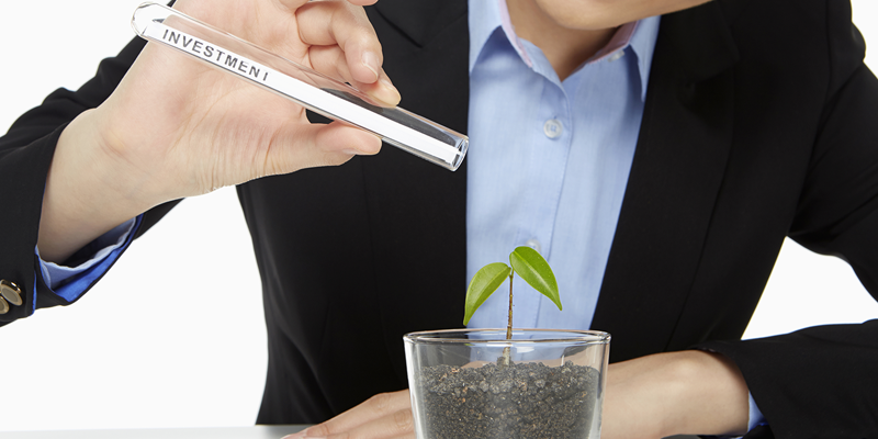 Wealth Abundance Gldc Niche Blog wealth abundance gldc niche blog