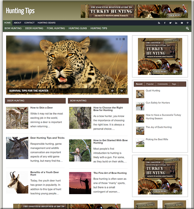 hunting plr niche website