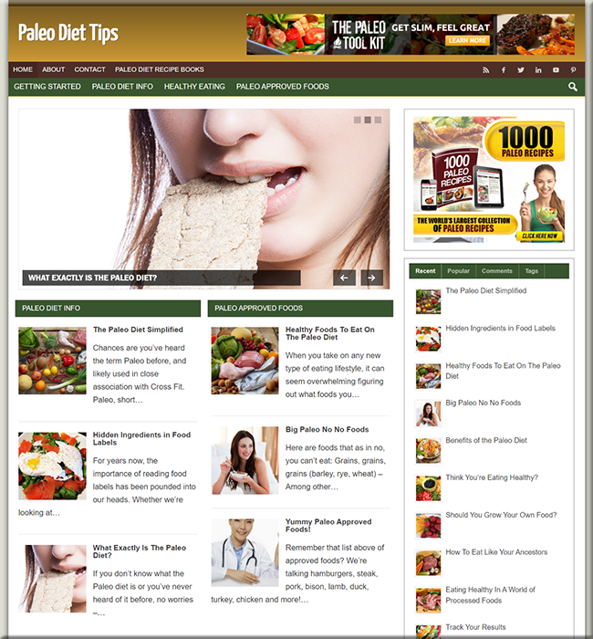 Paleo Diet Niche PLR Website paleo diet niche plr website